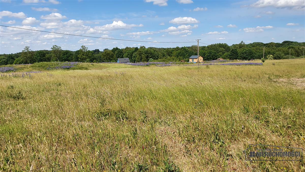 Sprzedaż Działka budowlana Sikory
