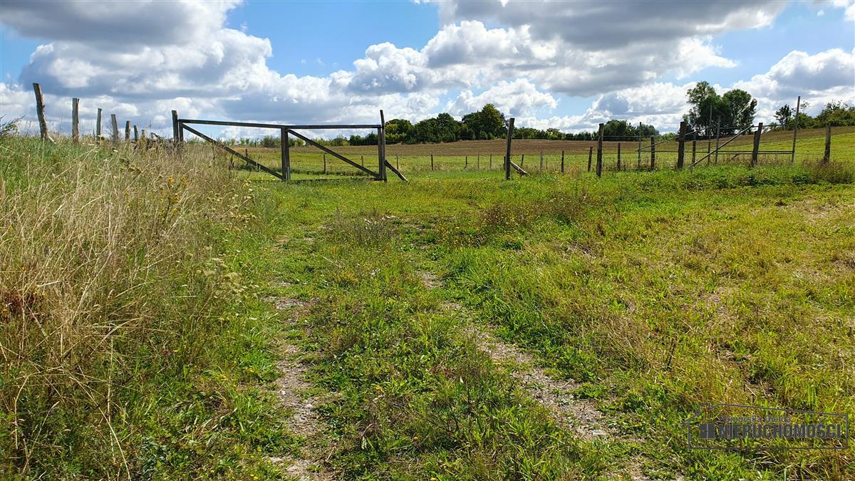 Sprzedaż Działka budowlana Sikory