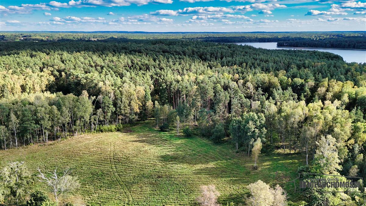 Sprzedaż Działka siedliskowa Śmiadowo