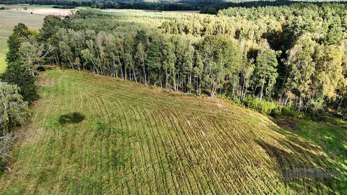 Sprzedaż Działka siedliskowa Śmiadowo