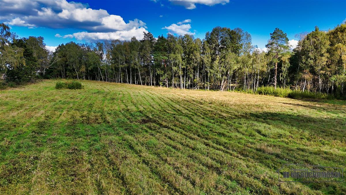Sprzedaż Działka siedliskowa Śmiadowo