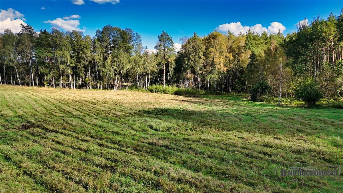 Sprzedaż Działka siedliskowa Śmiadowo