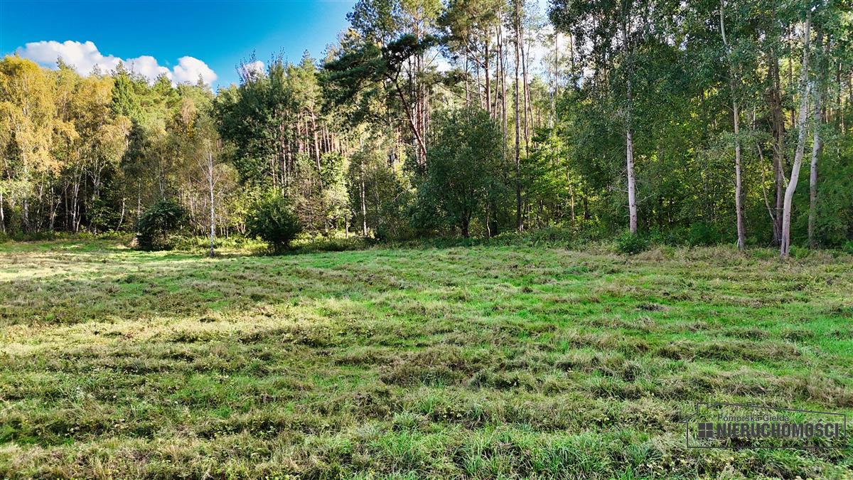 Sprzedaż Działka siedliskowa Śmiadowo