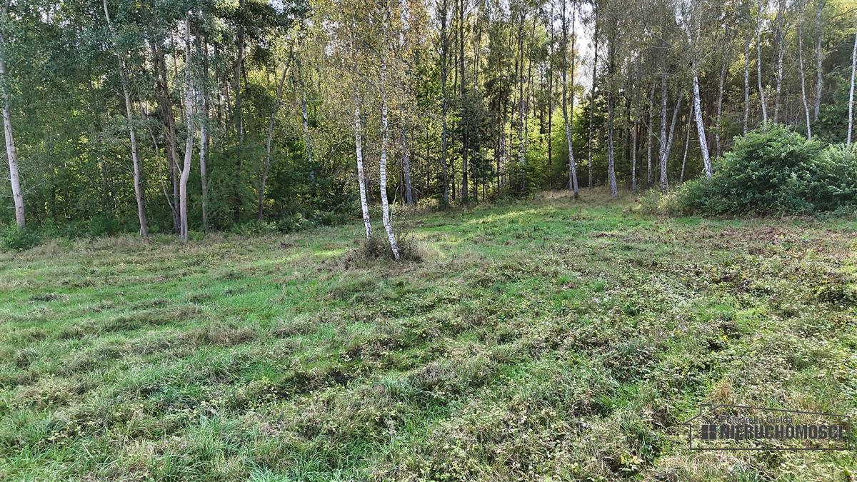 Sprzedaż Działka siedliskowa Śmiadowo