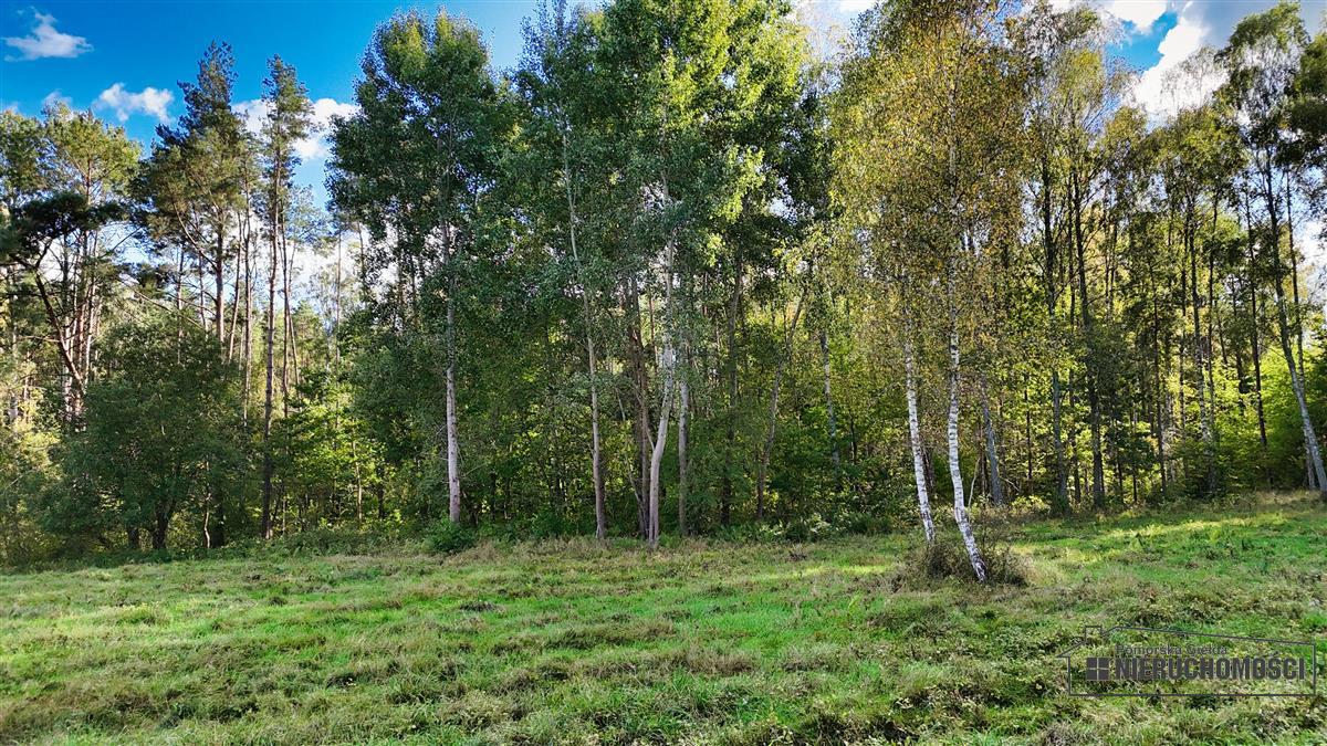 Sprzedaż Działka siedliskowa Śmiadowo