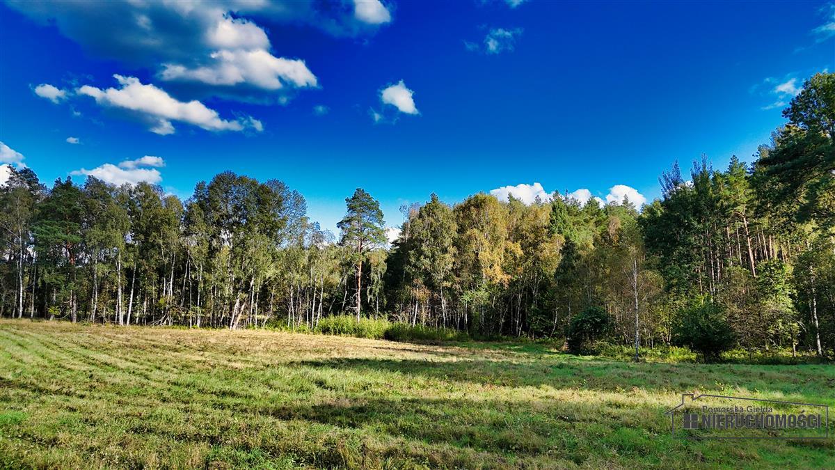 Sprzedaż Działka siedliskowa Śmiadowo