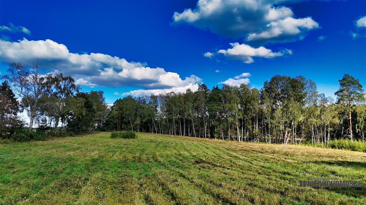 Sprzedaż Działka siedliskowa Śmiadowo