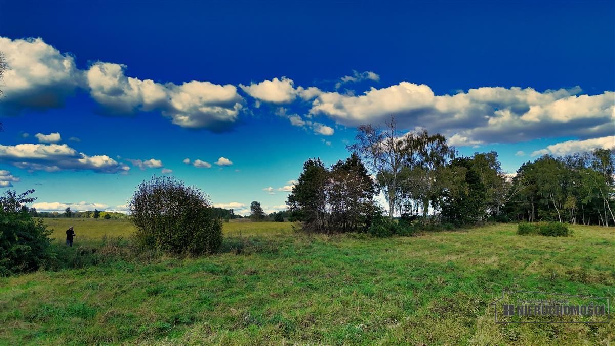 Sprzedaż Działka siedliskowa Śmiadowo