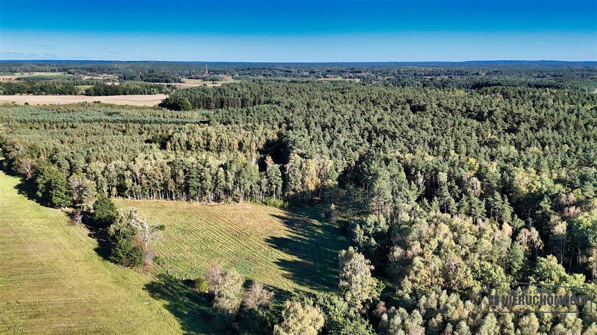 Sprzedaż Działka siedliskowa Śmiadowo