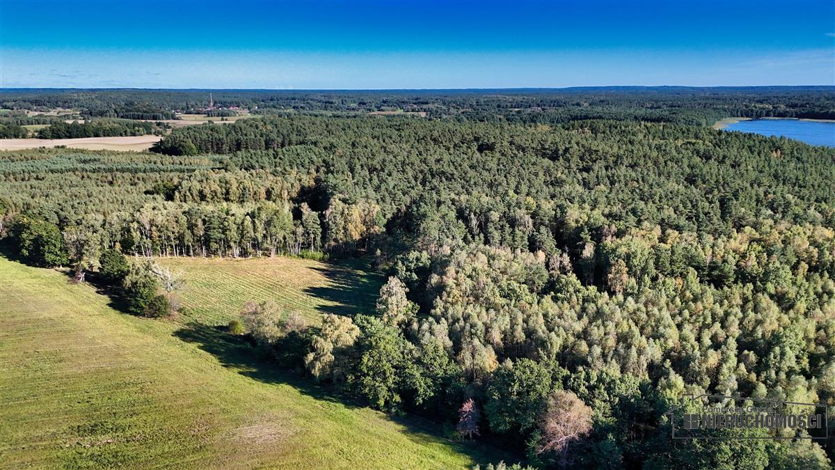 Sprzedaż Działka siedliskowa Śmiadowo