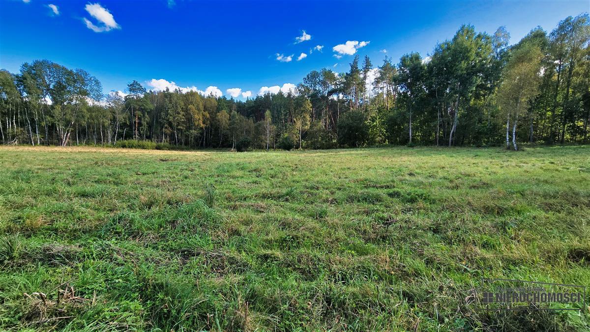 Sprzedaż Działka siedliskowa Śmiadowo