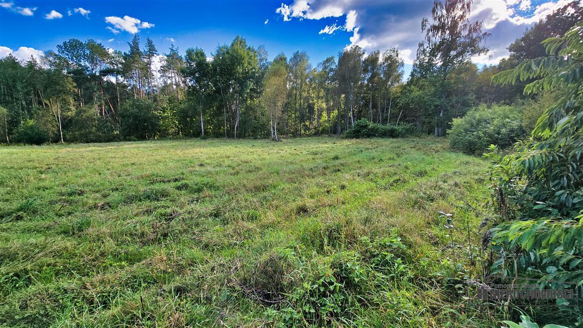 Sprzedaż Działka siedliskowa Śmiadowo