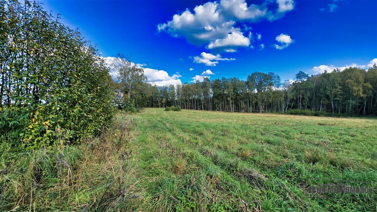 Sprzedaż Działka siedliskowa Śmiadowo