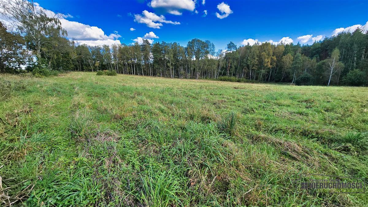 Sprzedaż Działka siedliskowa Śmiadowo