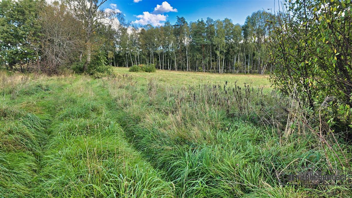 Sprzedaż Działka siedliskowa Śmiadowo