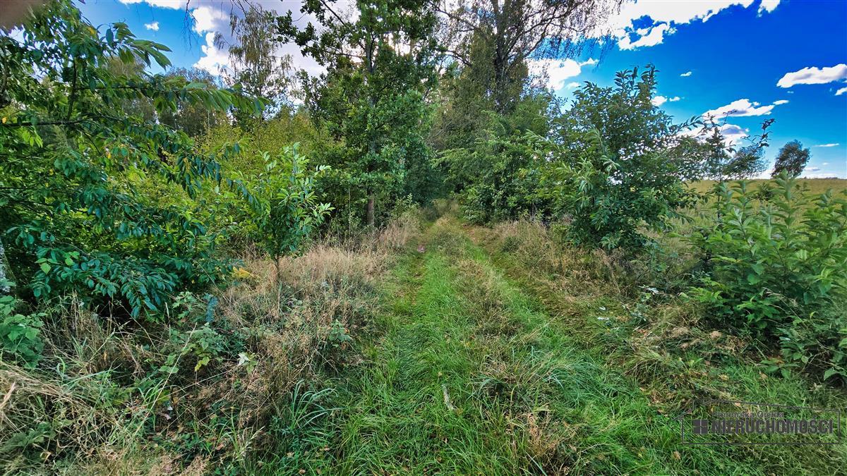 Sprzedaż Działka siedliskowa Śmiadowo