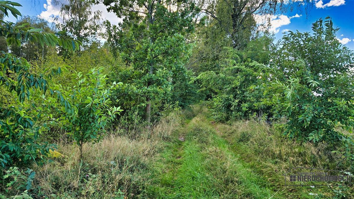 Sprzedaż Działka siedliskowa Śmiadowo