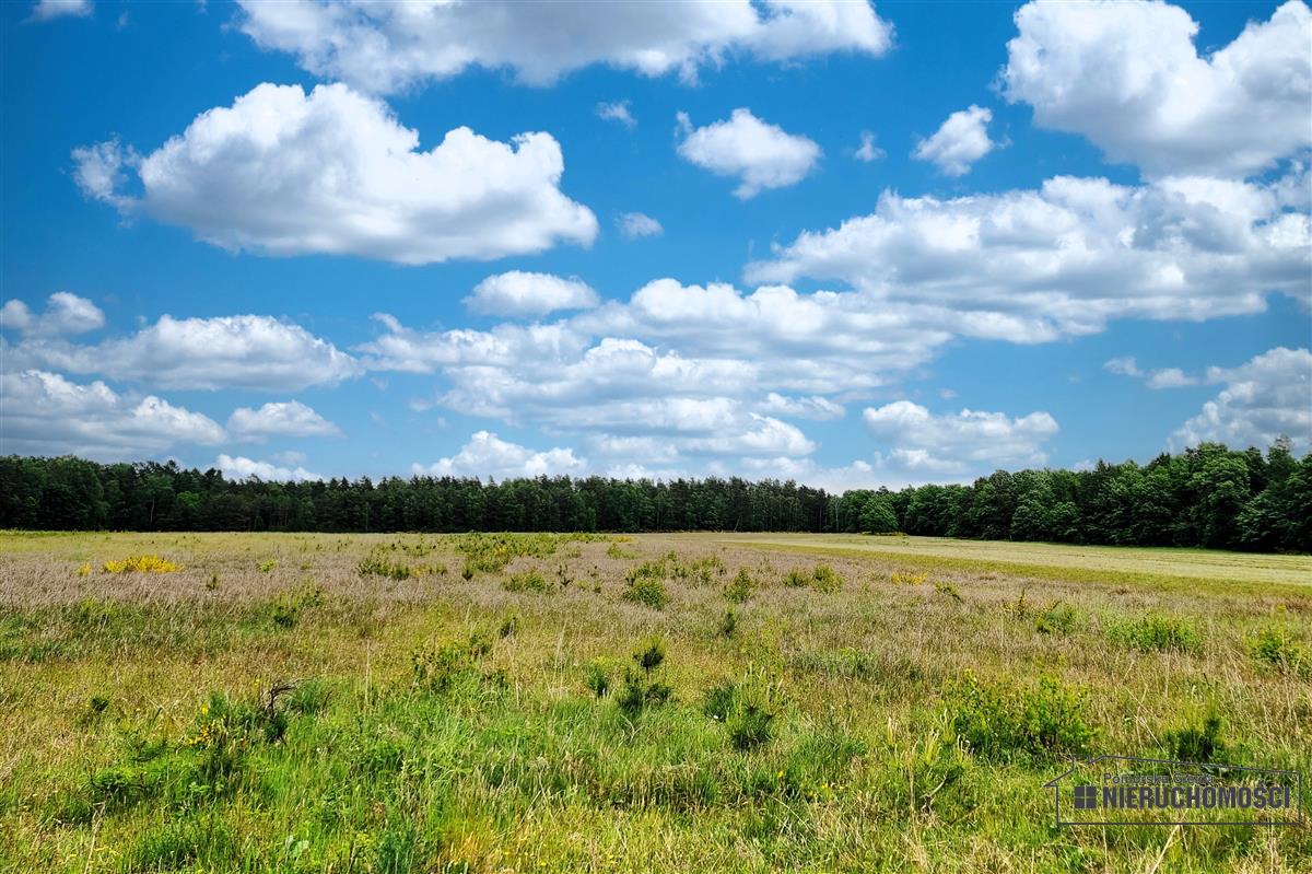 Sprzedaż Działka budowlana Krytno