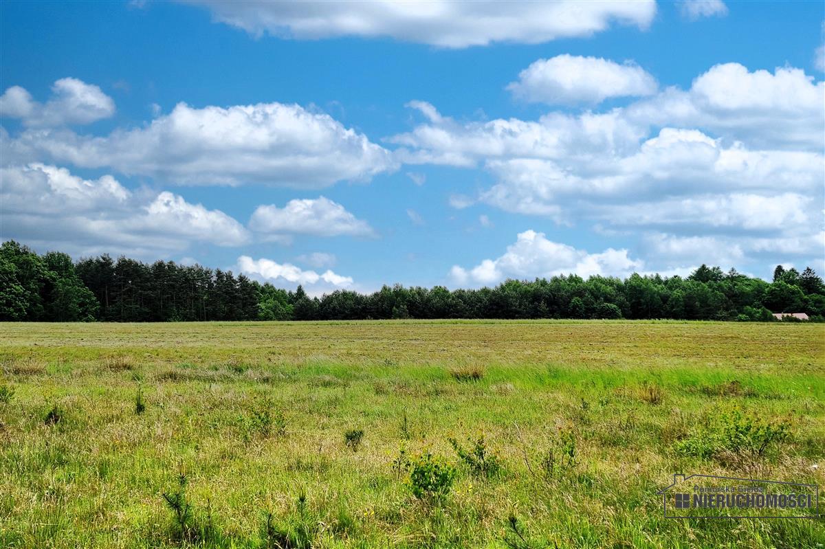 Sprzedaż Działka budowlana Krytno