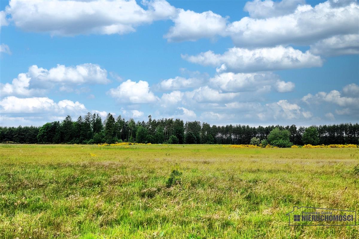 Sprzedaż Działka budowlana Krytno