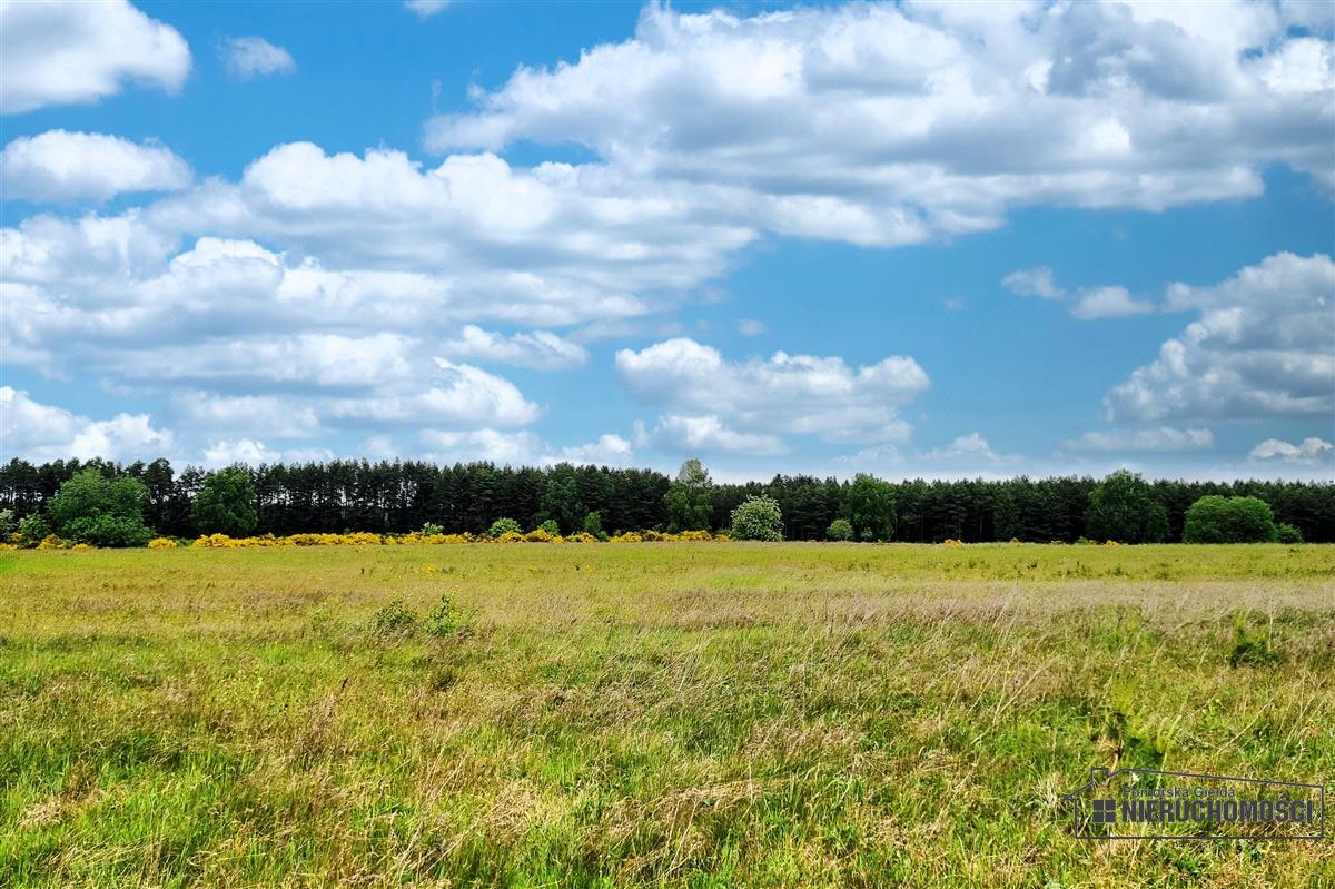 Sprzedaż Działka budowlana Krytno
