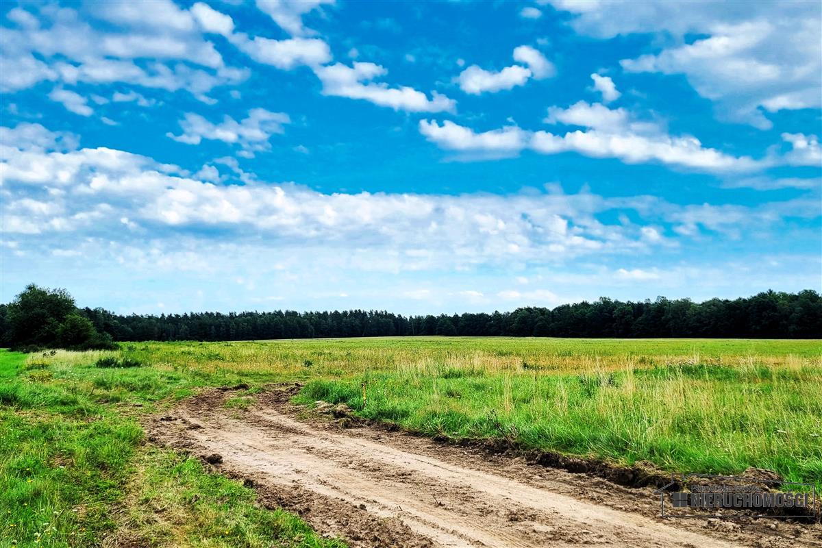 Sprzedaż Działka budowlana Krytno
