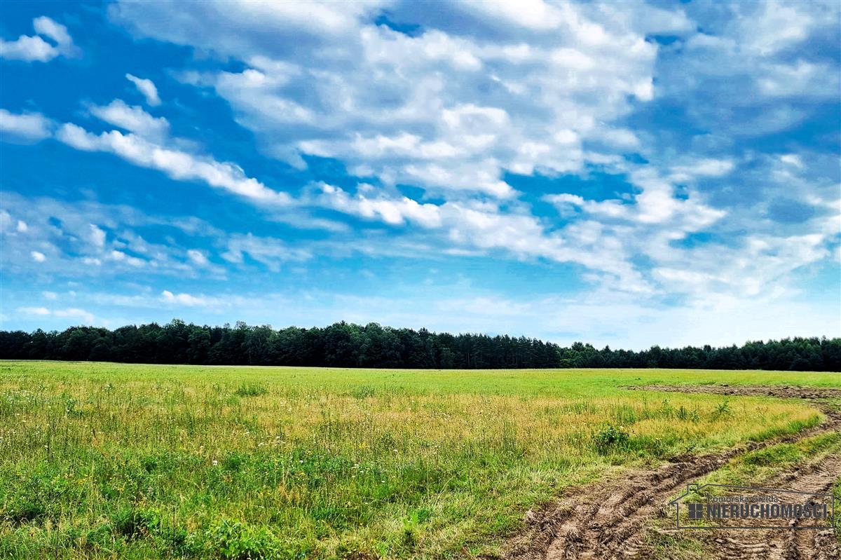 Sprzedaż Działka budowlana Krytno