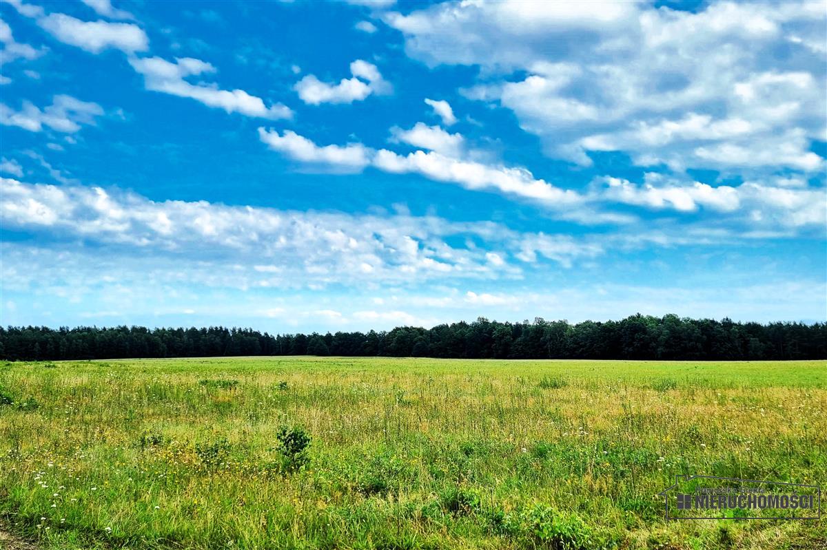 Sprzedaż Działka budowlana Krytno