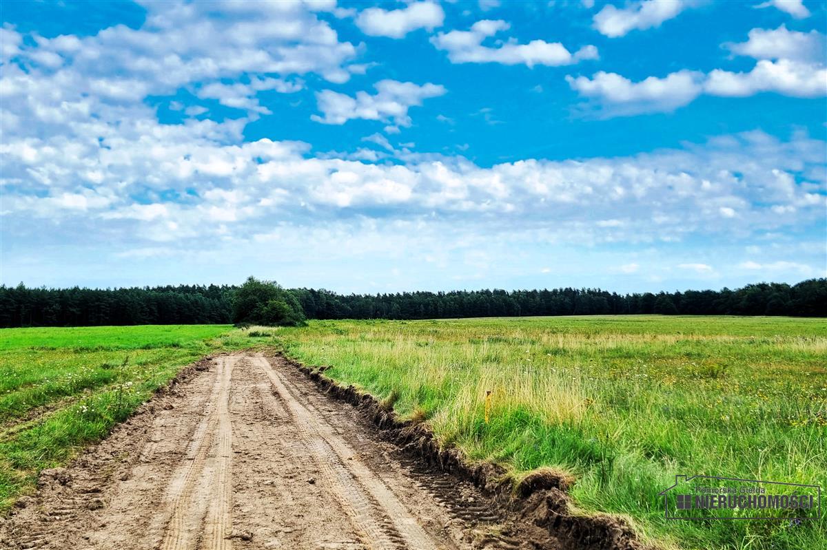 Sprzedaż Działka budowlana Krytno