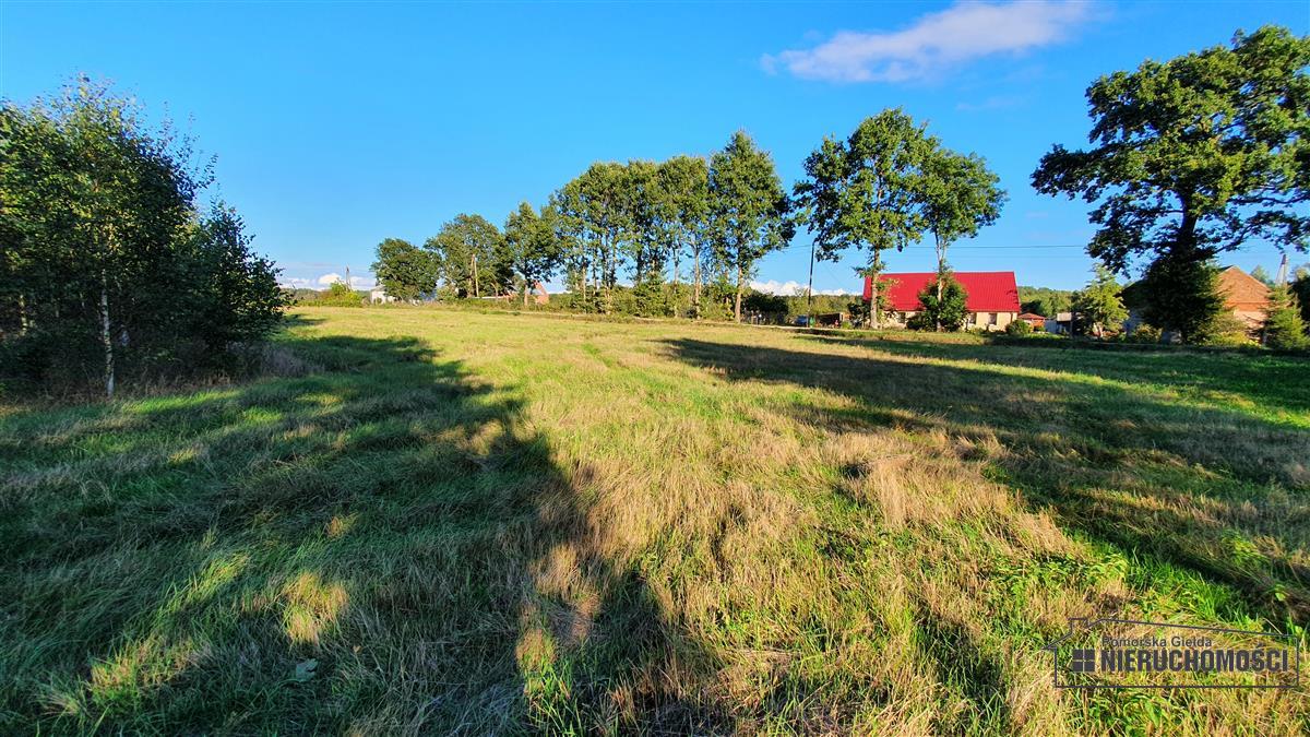 Sprzedaż Działka budowlana Dargikowo