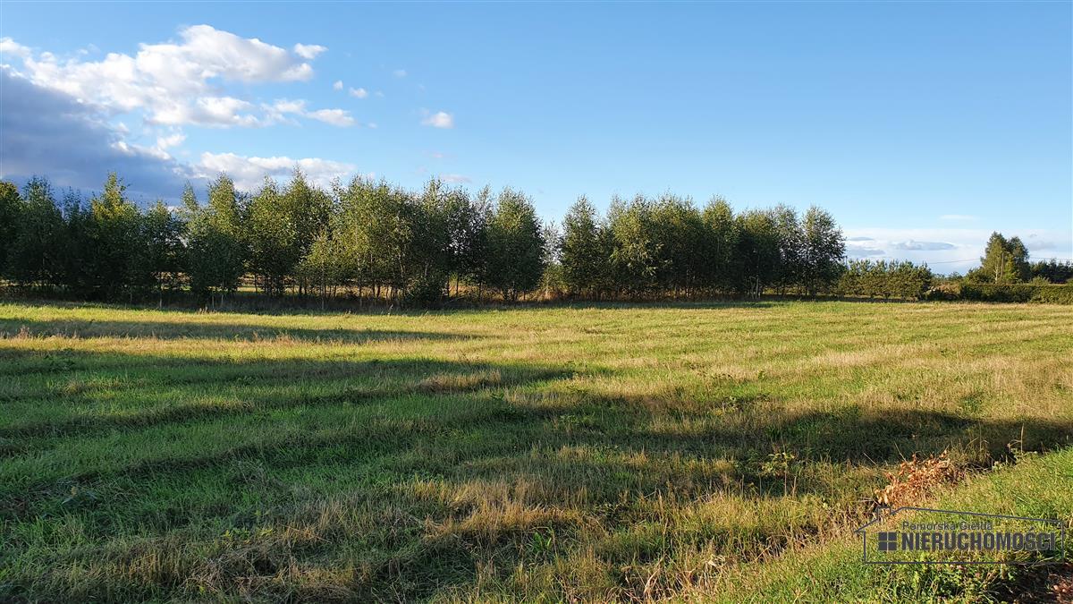 Sprzedaż Działka budowlana Dargikowo