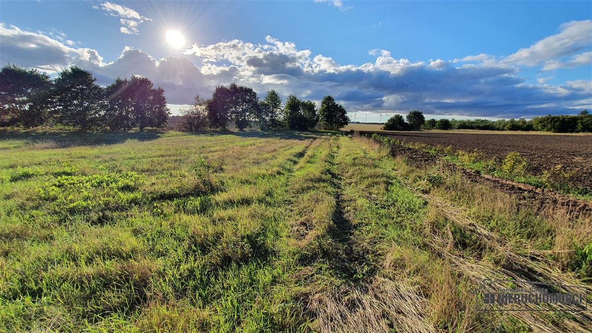 Sprzedaż Działka budowlana Dargikowo