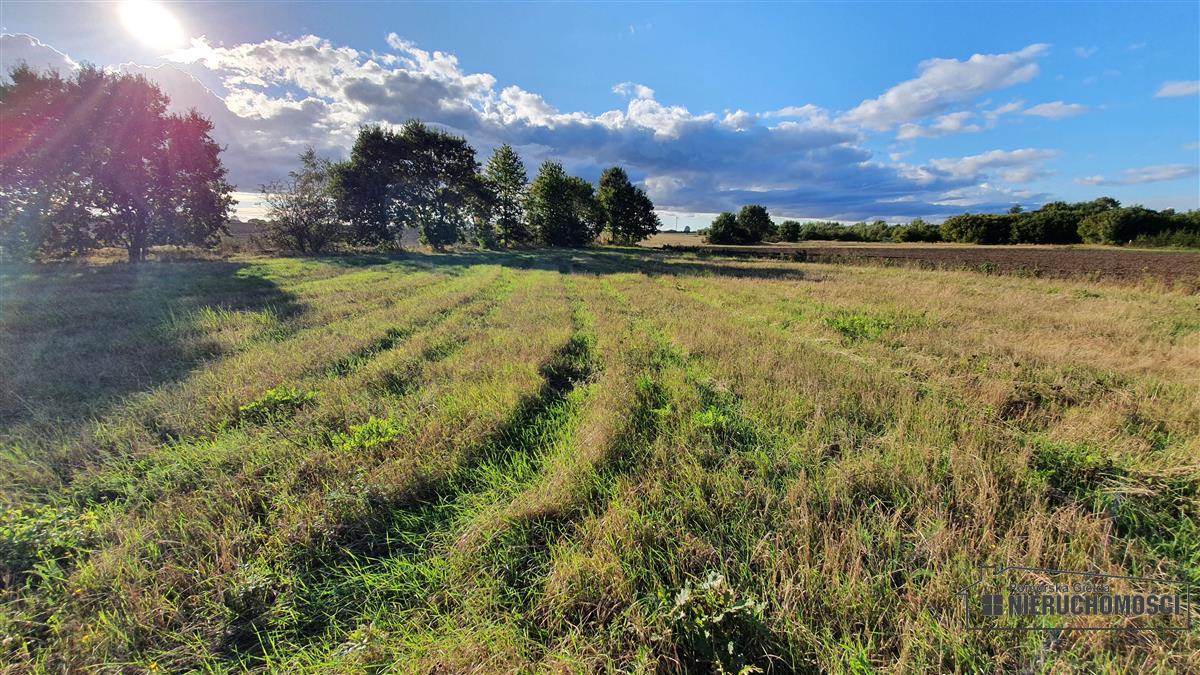 Sprzedaż Działka budowlana Dargikowo