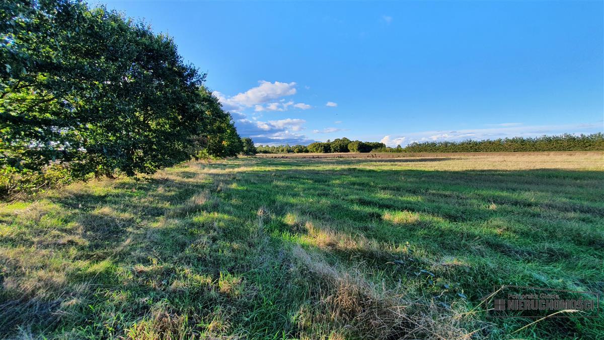 Sprzedaż Działka budowlana Dargikowo