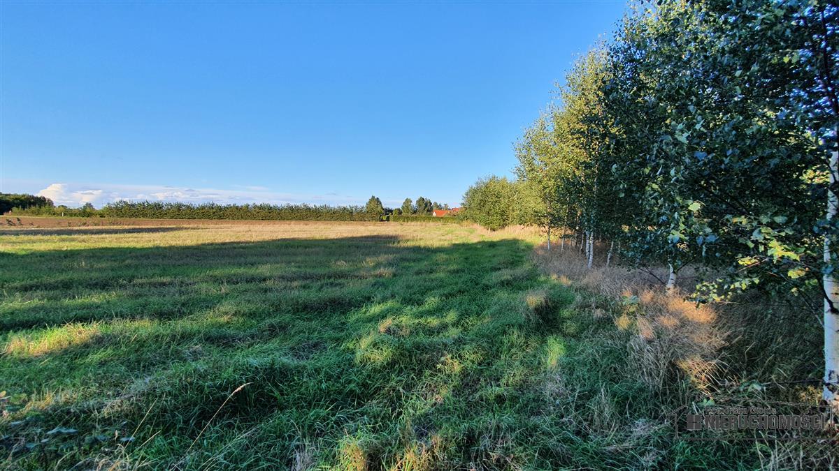 Sprzedaż Działka budowlana Dargikowo