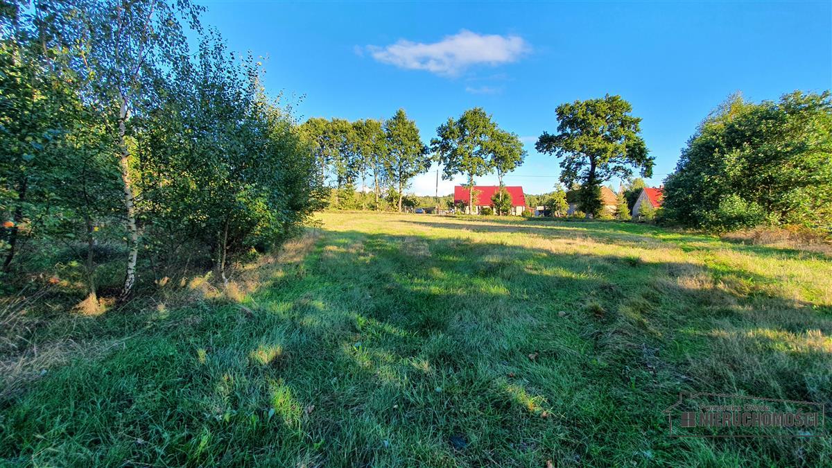 Sprzedaż Działka budowlana Dargikowo