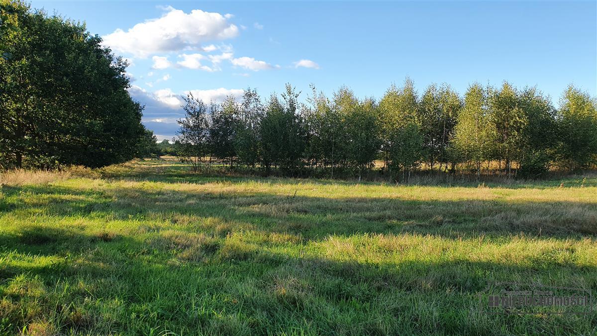 Sprzedaż Działka budowlana Dargikowo