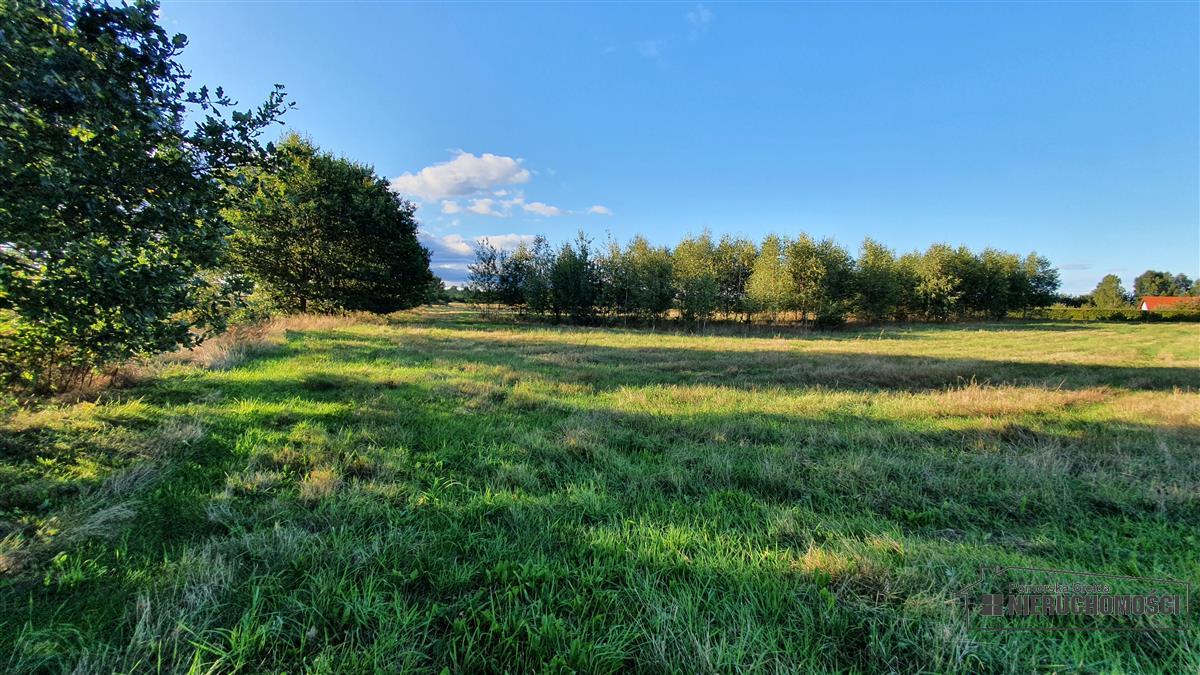 Sprzedaż Działka budowlana Dargikowo