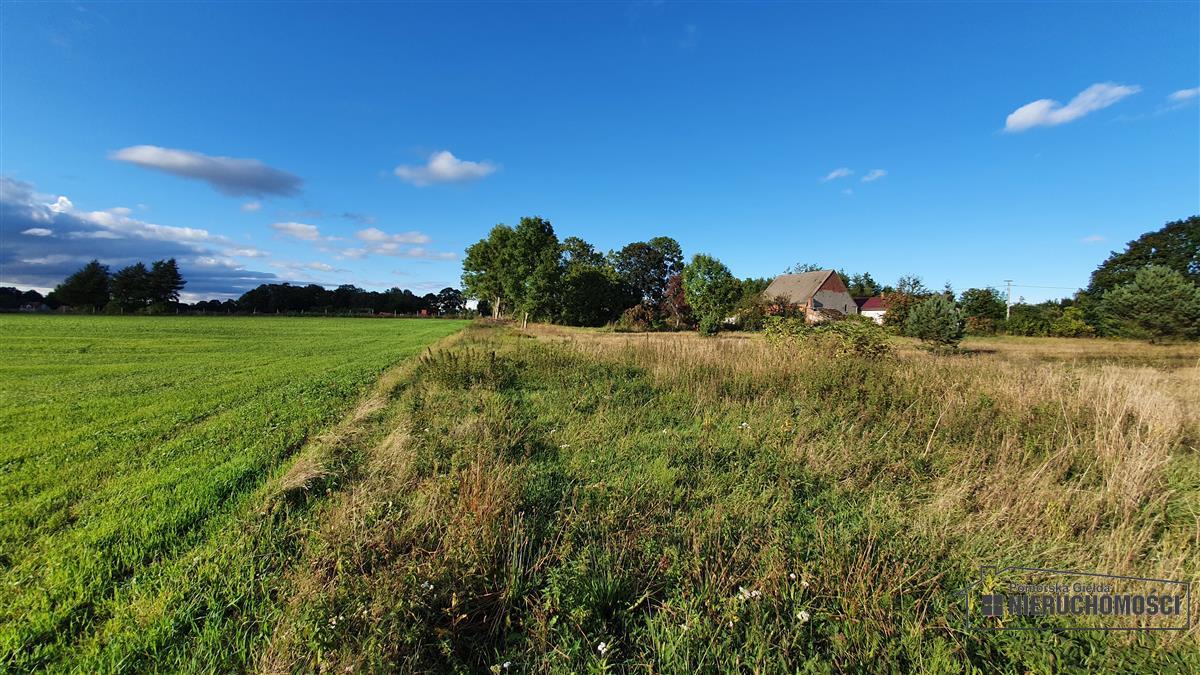 Sprzedaż Działka budowlana Dargikowo