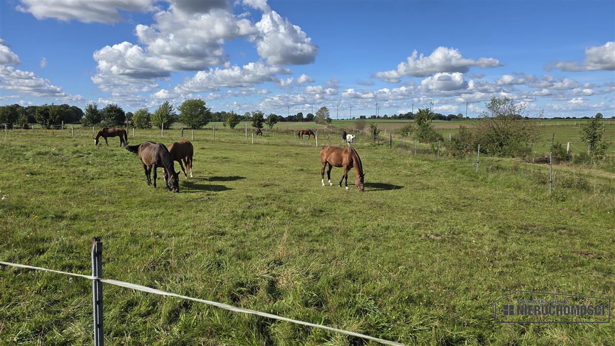 Sprzedaż Działka budowlana Dargikowo
