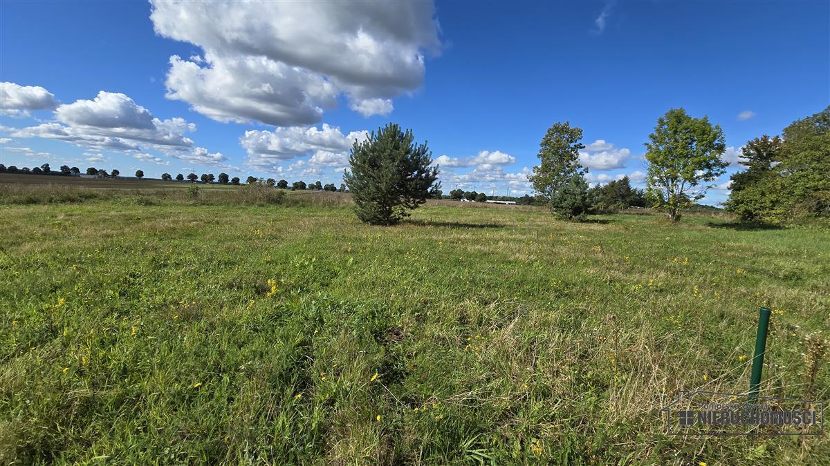 Sprzedaż Działka budowlana Dargikowo