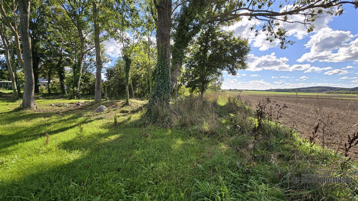Sprzedaż Działka budowlana Dargikowo