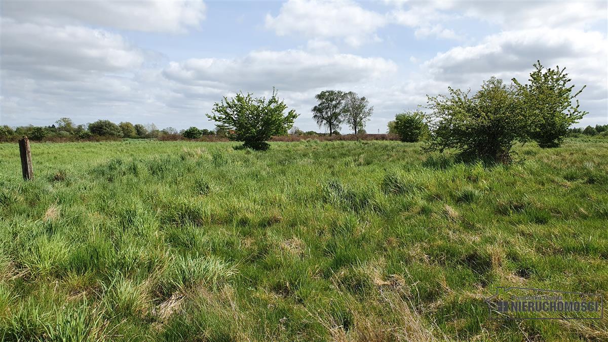 Sprzedaż Działka budowlana Gosław