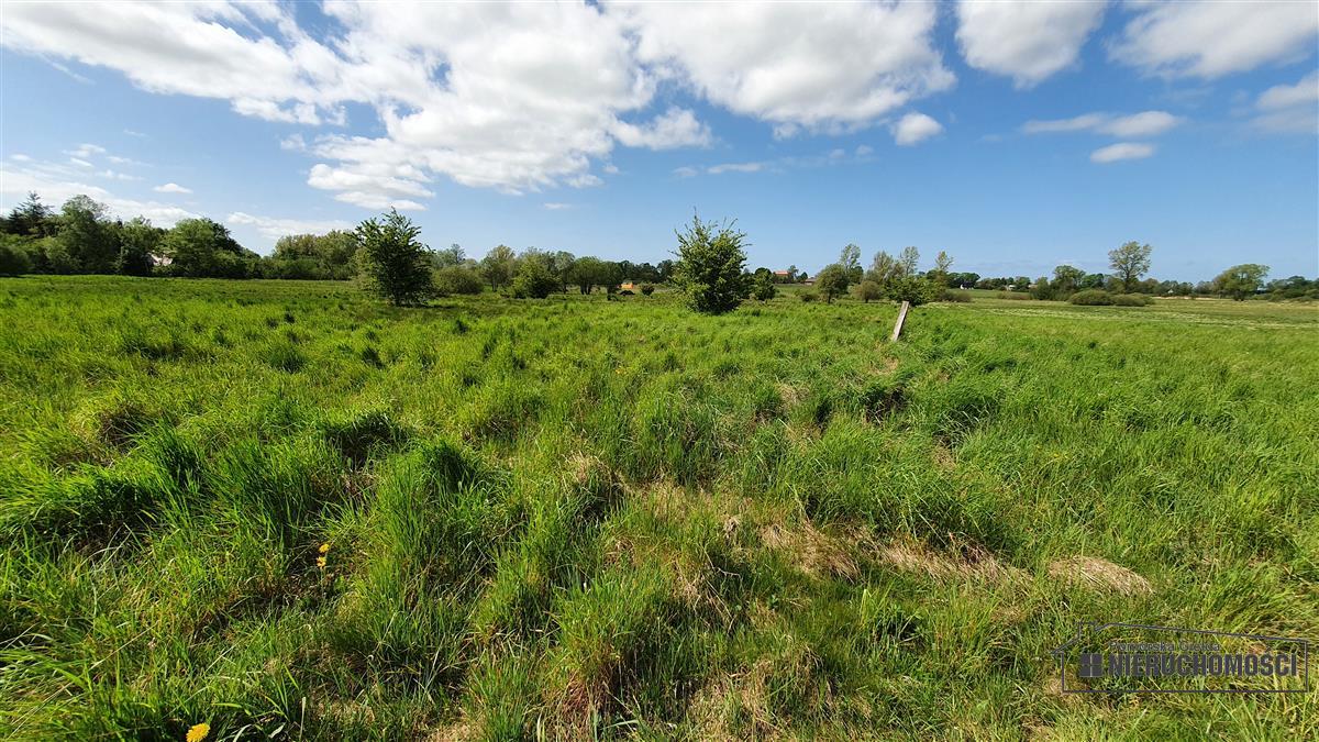 Sprzedaż Działka budowlana Gosław