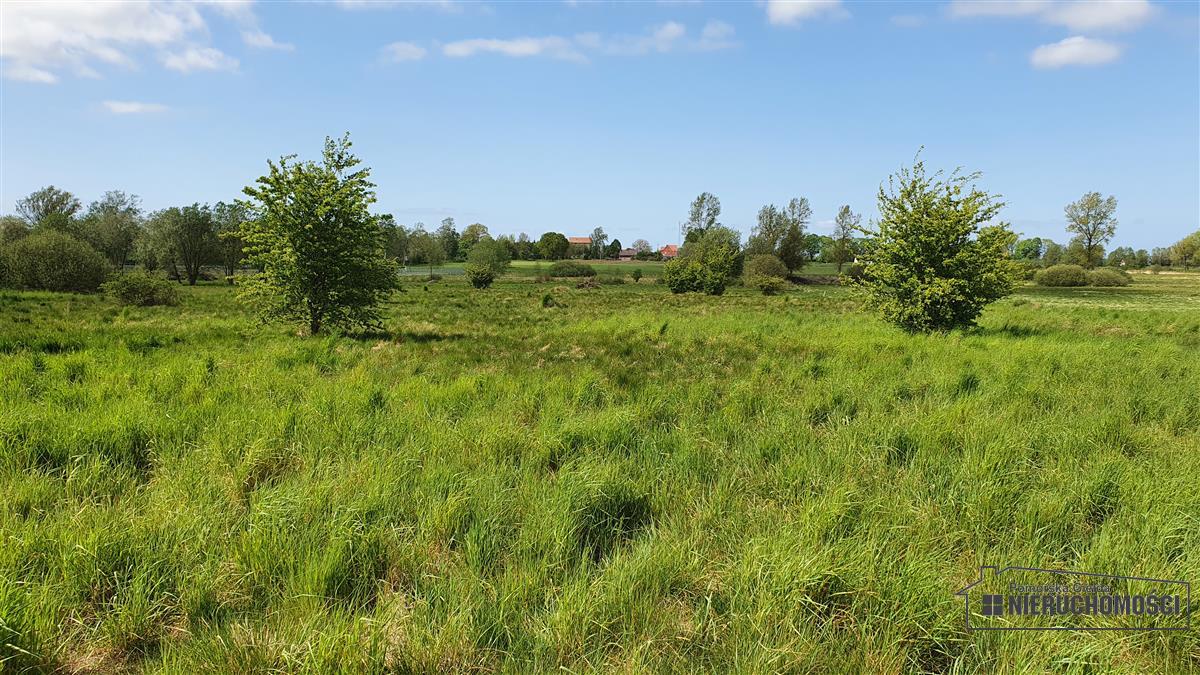 Sprzedaż Działka budowlana Gosław