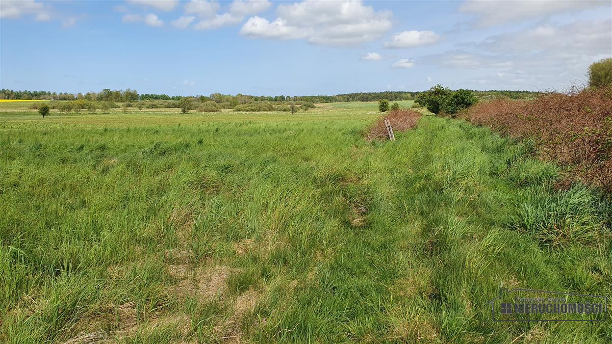 Sprzedaż Działka budowlana Gosław