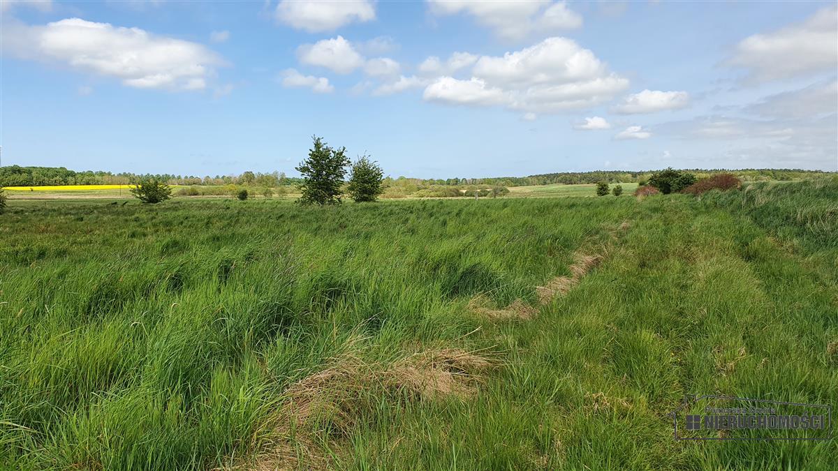 Sprzedaż Działka budowlana Gosław