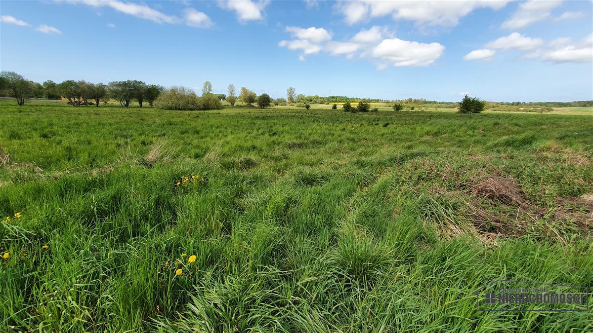 Sprzedaż Działka budowlana Gosław