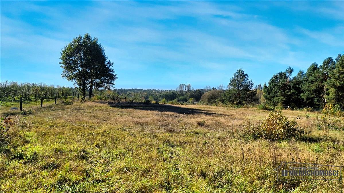 Sprzedaż Działka budowlana Radomyśl