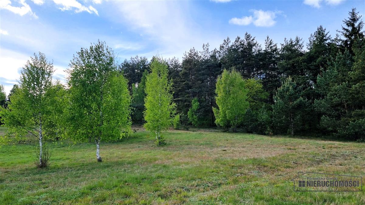 Sprzedaż Działka budowlana Drężno